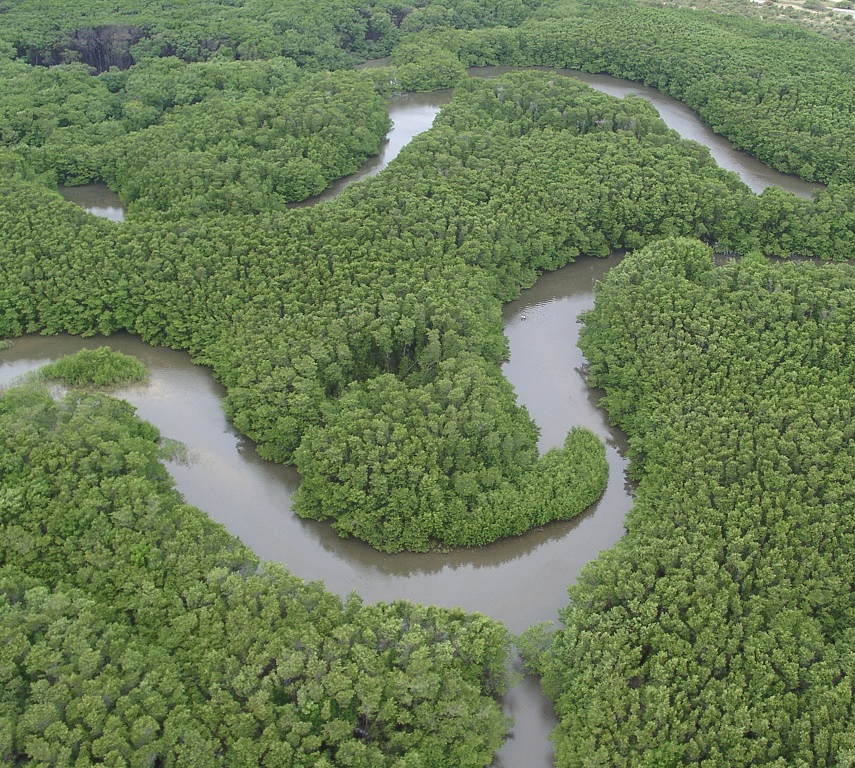 Reserva de Sapiranga