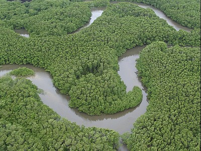 Reserva de Sapiranga